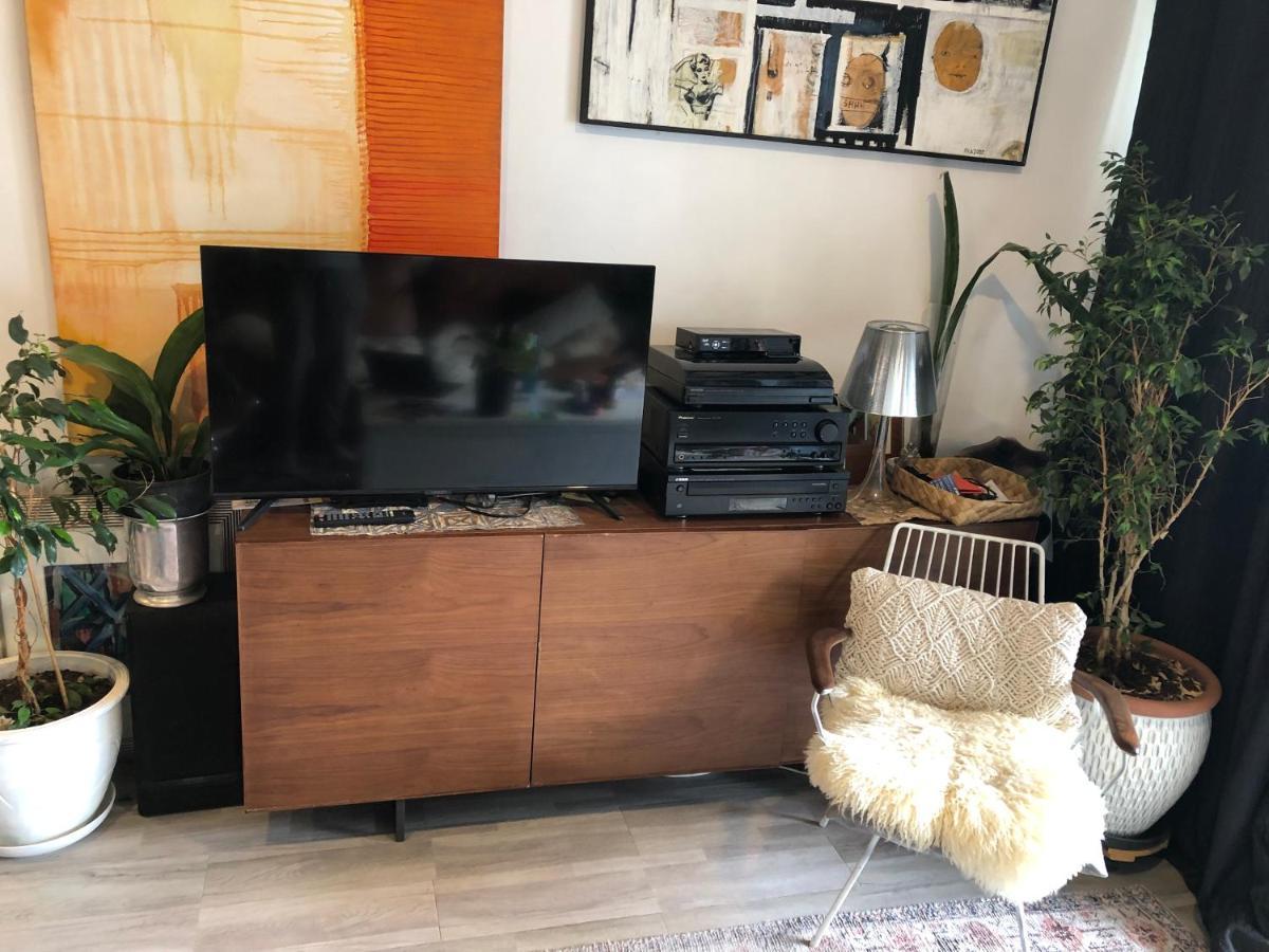 Cool Apartment, Central To Everything, Share With 2X Bulldogs Auckland Exterior foto